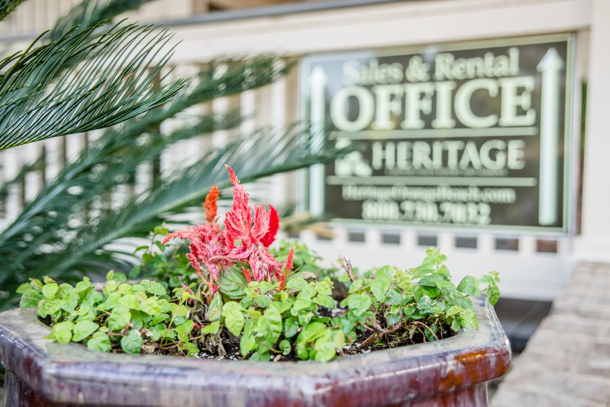 Heritage Marina Gallery 7