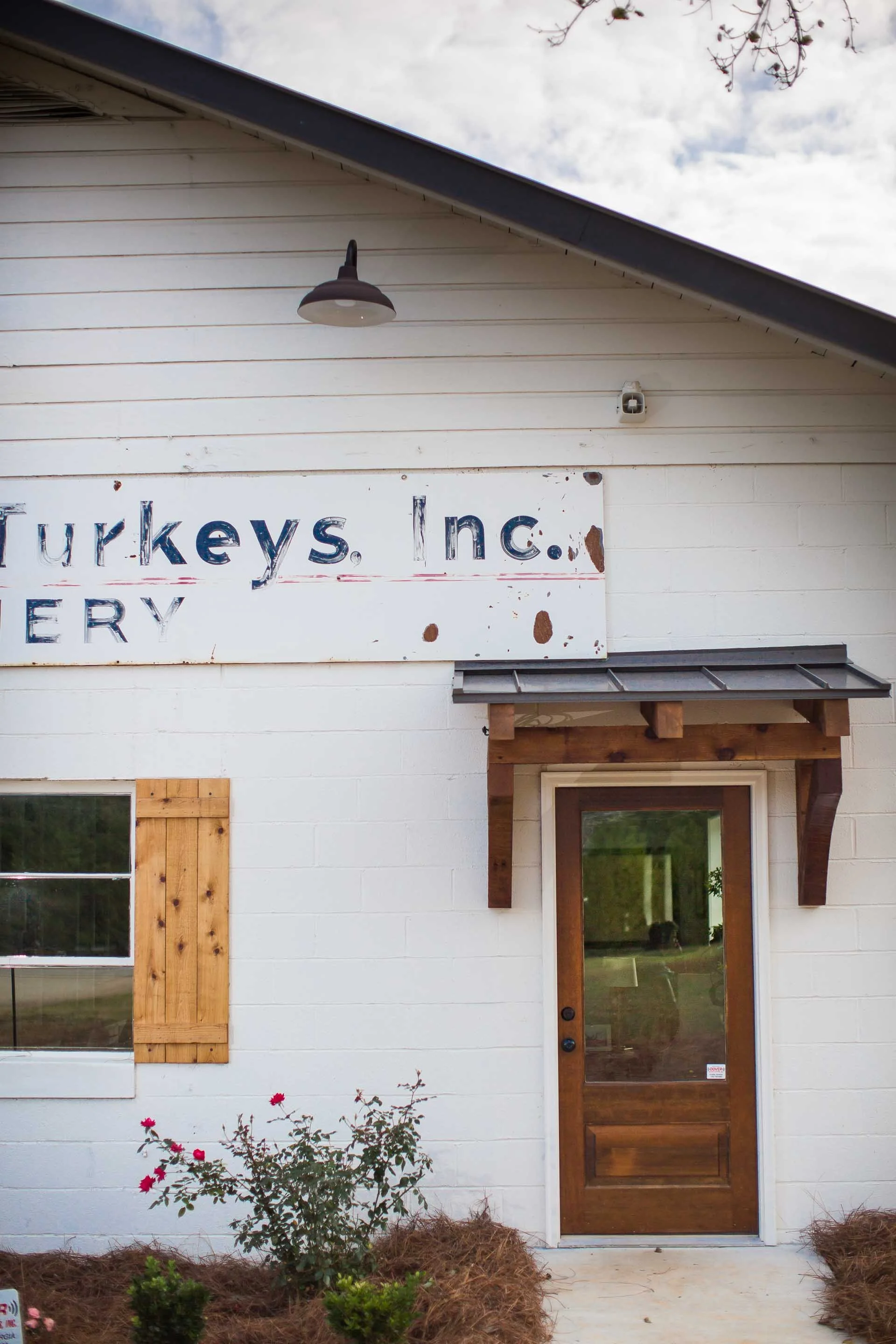 The Hatchery Gallery 11