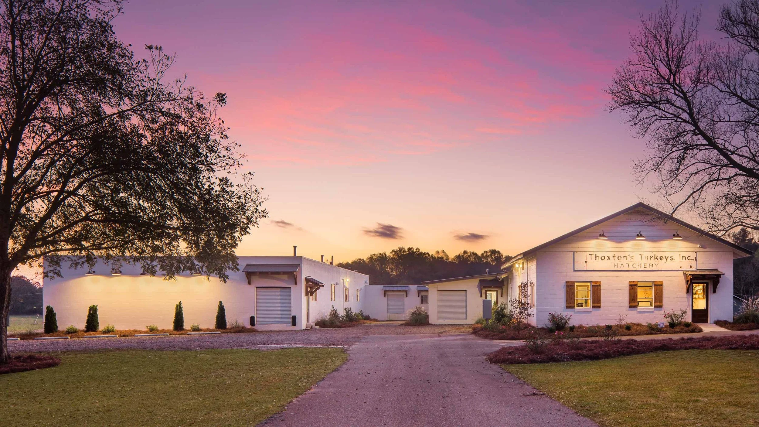 The Hatchery Gallery 5